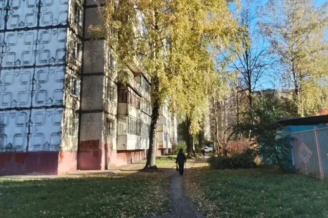 Двое жителей Липецкой области отправлены в колонию за подготовку беспорядков в Грязях